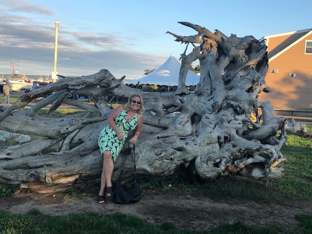 Dawn M Carroll-Writer